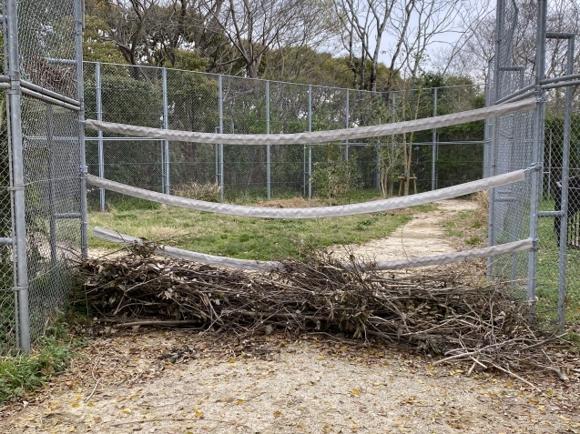キリンの展示場森森プロジェクト ~植樹始めました編~_c0290504_13164186.jpg