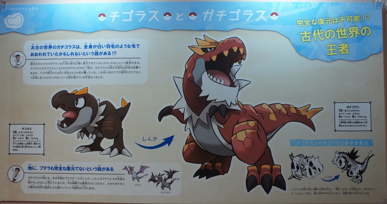 ポケモン化石博物館 へ行って来ました オートクチュールの旅日記