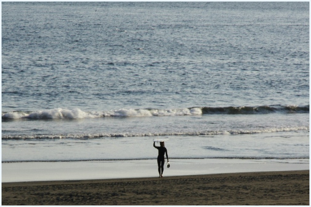 海を見つめて・・・_c0352813_16162830.jpg