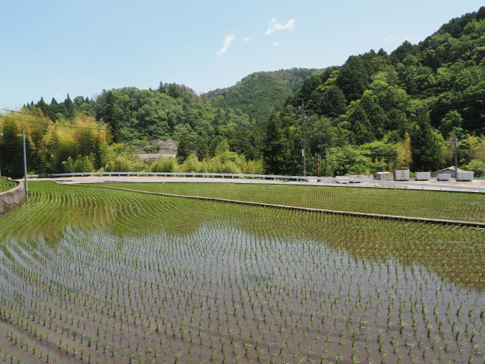 晴れた_c0116915_22302538.jpg