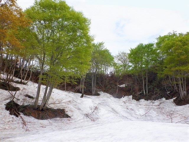 荒川宏の「北アルプス新雪」（五竜岳）。無所属で美しい山々と森林を描いた油彩画家。 北穂高岳 | ニッポン旅マガジン