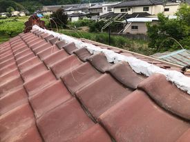 甲府市 塩焼と銀黒の屋根 其の一_b0242734_07145914.jpg
