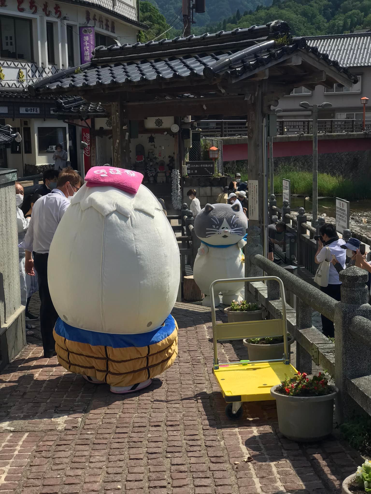 【 道後温泉の「かなしきデブ猫ちゃん」が湯村温泉に来て「湯～たん」に面会 】_f0112434_18531574.jpg