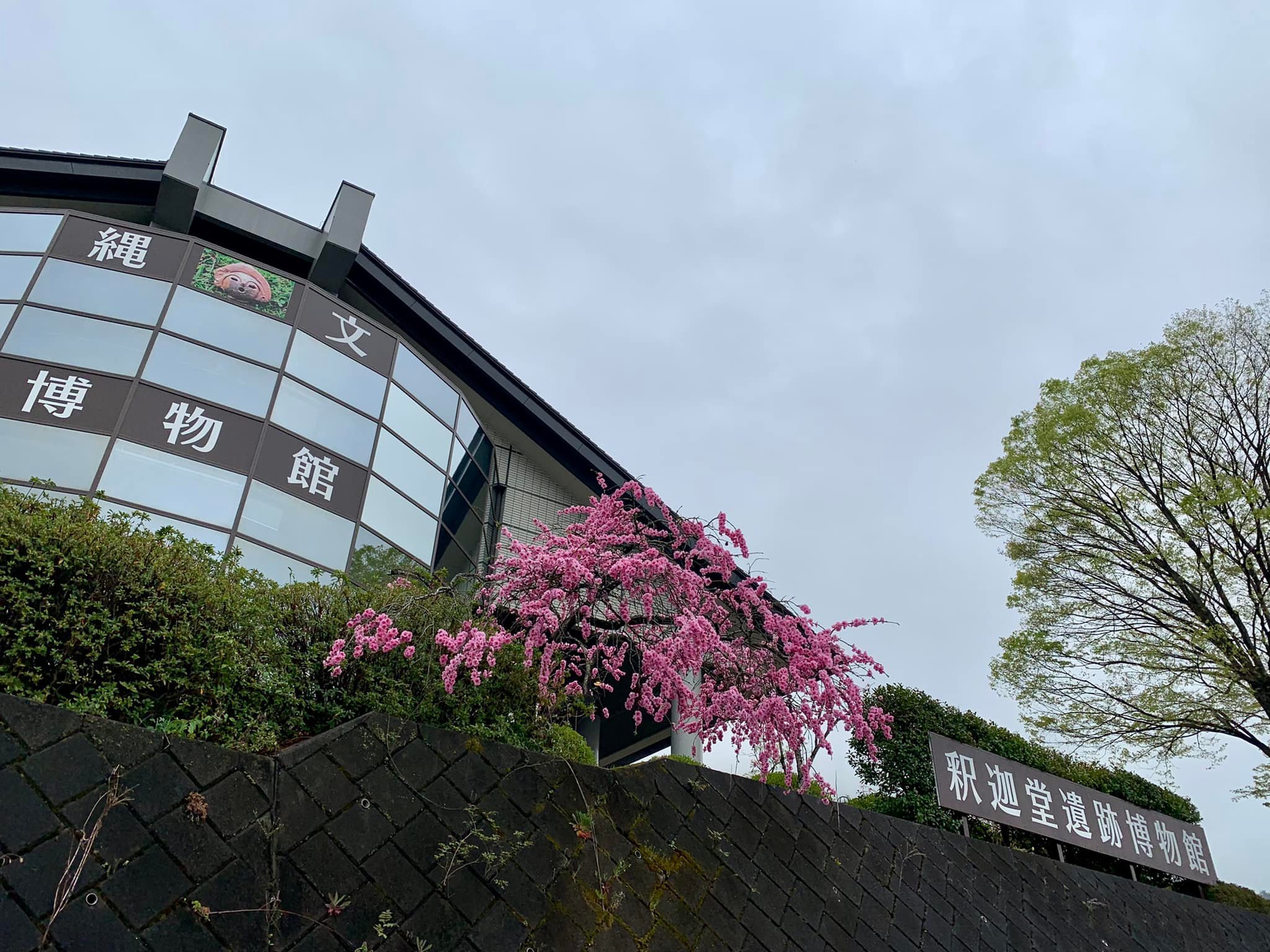 近況など_e0026053_13064731.jpg