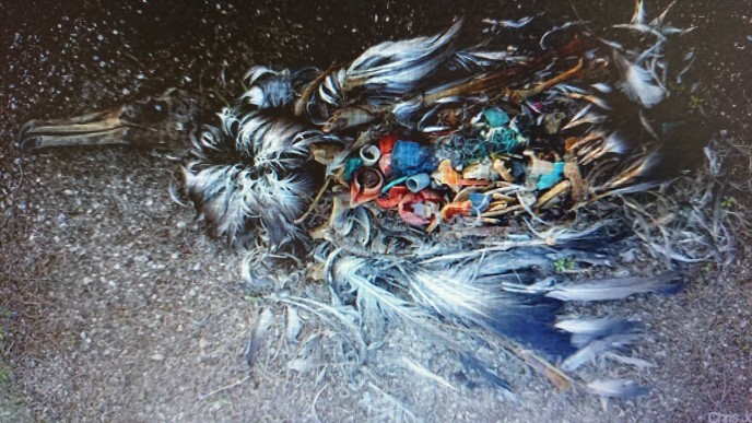 5／27  プラスチックごみの海洋汚染ー２_e0185893_07311537.jpg