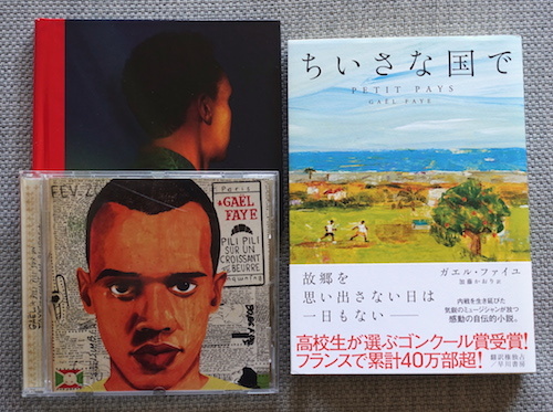 読書メモ：陣野俊史『魂の声をあげる　現代史としてのラップ・フランセ』_d0010432_17242784.jpg