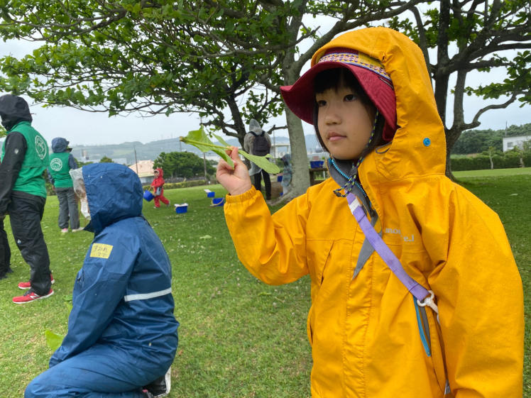 青空ようちえん〔週末〕草木であそぼう!(5/4)葉っぱや木の実を見つけたら楽しい発見がいっぱい!お花で作ったジャムが今日のおやつ!_d0363878_13534937.jpg