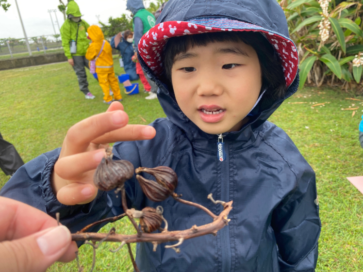 青空ようちえん〔週末〕草木であそぼう!(5/4)葉っぱや木の実を見つけたら楽しい発見がいっぱい!お花で作ったジャムが今日のおやつ!_d0363878_13561479.jpg