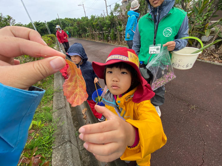 青空ようちえん〔週末〕草木であそぼう!(5/4)葉っぱや木の実を見つけたら楽しい発見がいっぱい!お花で作ったジャムが今日のおやつ!_d0363878_13593158.jpg