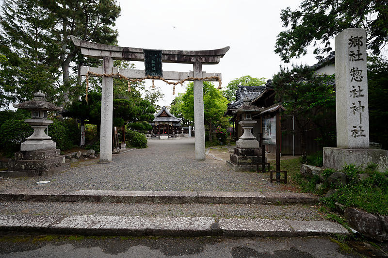 咲き急ぐ花達 藤@滋賀県 惣社神社&志那神社_f0032011_19223124.jpg