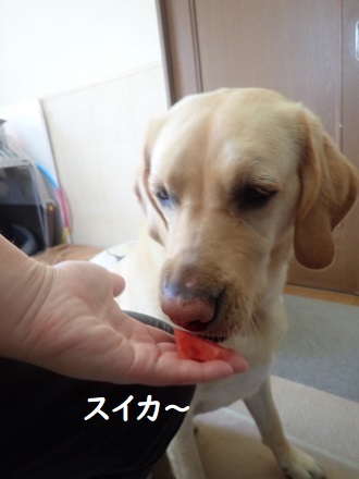 プニの週末。_c0182012_14394800.jpg