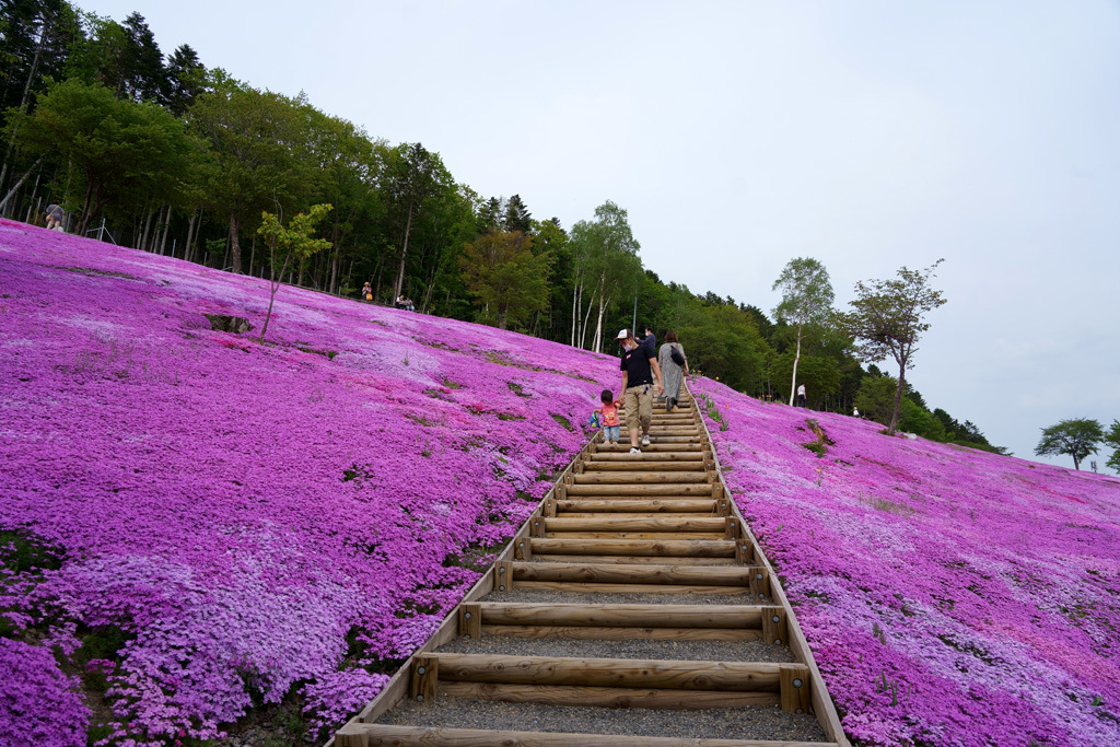 芝ざくら滝上公園_b0399744_21484609.jpg