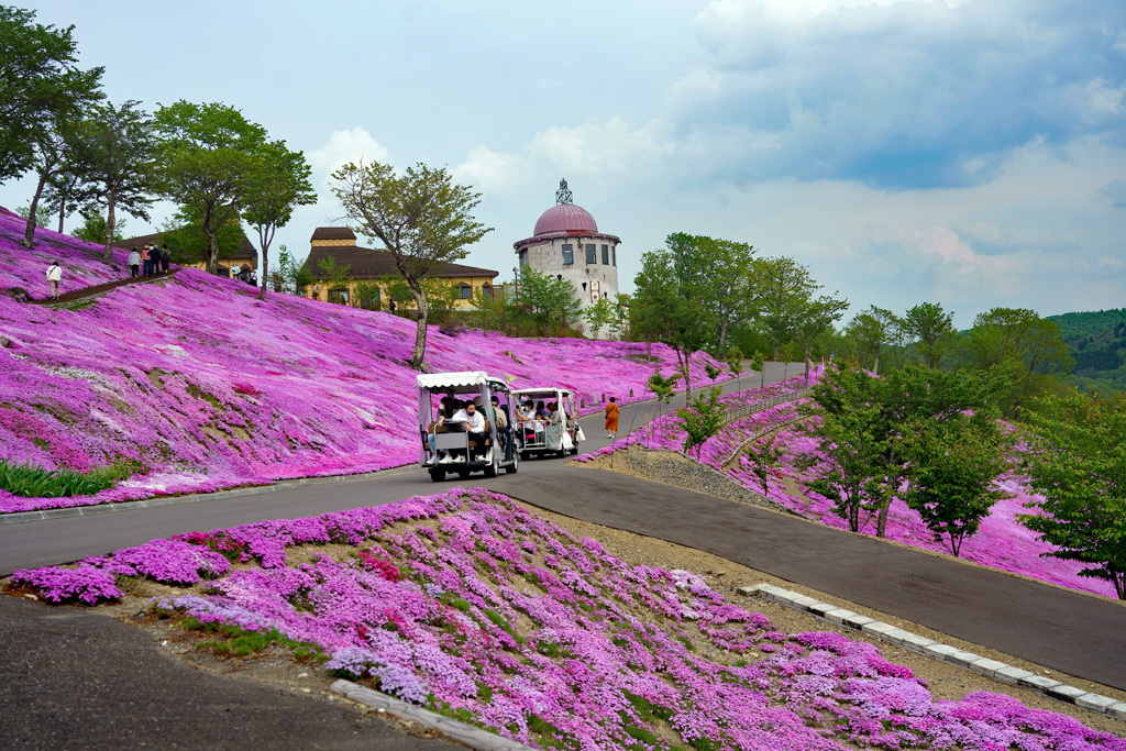 芝ざくら滝上公園_b0399744_21502537.jpg