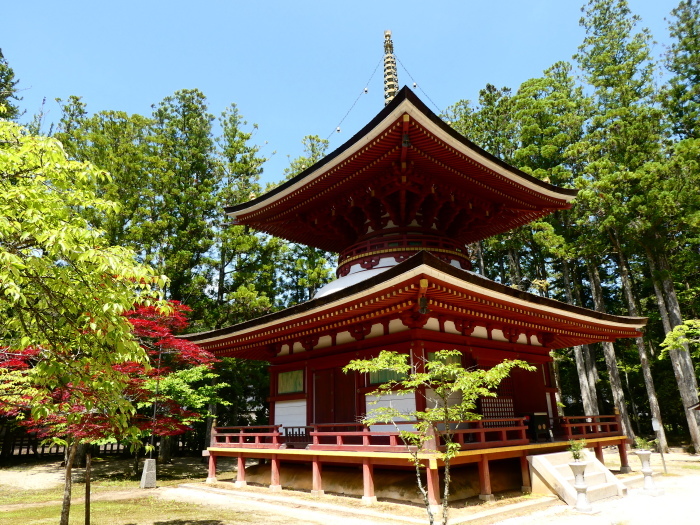 　　新緑の高野山　　２０２３-０５-１８　００：００_b0093754_16300905.jpg