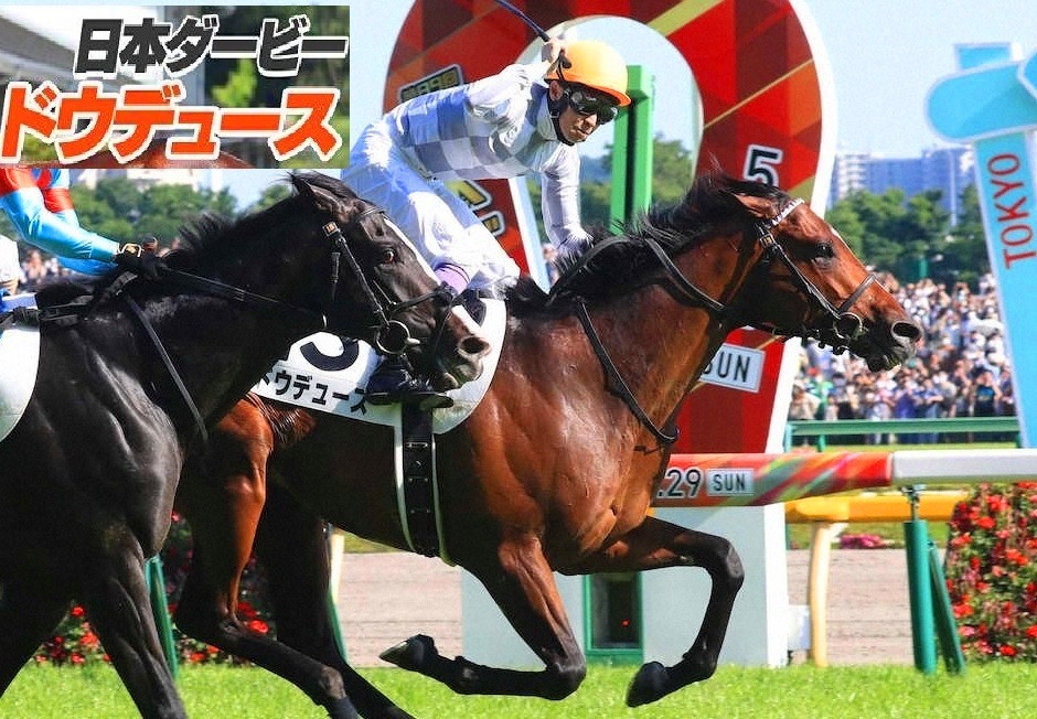 日本ダービー ドゥデュース 白い恋人 Www Shipsctc Org