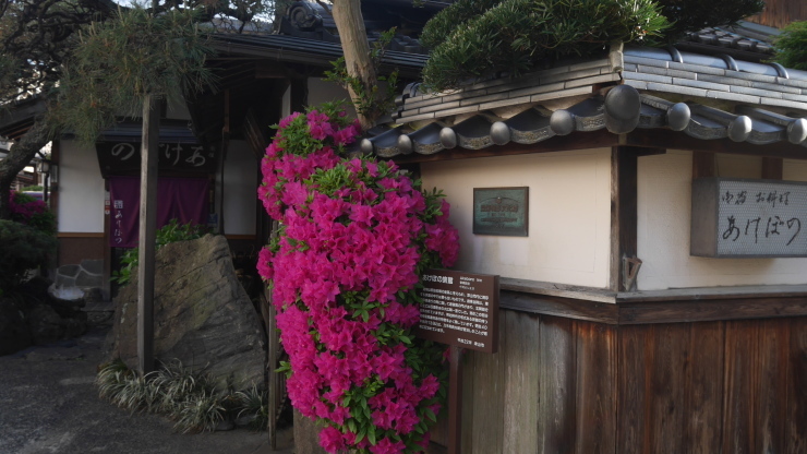 津山で最も伝統的な登録有形文化財の宿－あけぼの旅館_a0385880_07042665.jpg