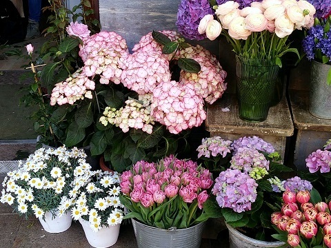 花屋さん_d0006400_00031574.jpg
