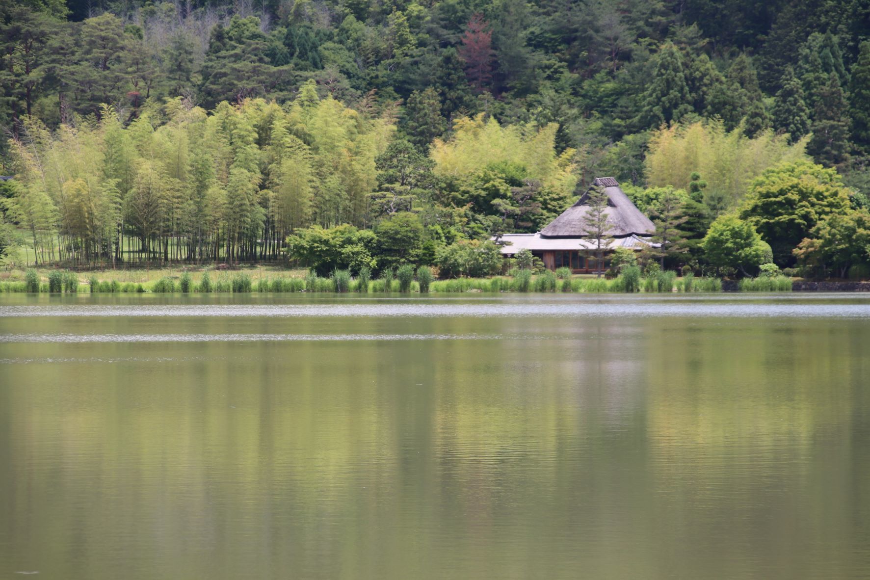 嵯峨野　広沢の池など_e0048413_19001967.jpg