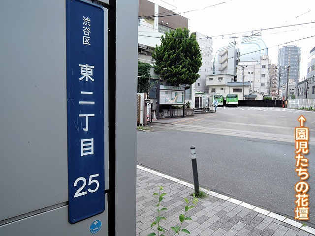最後の 渋谷区ふれあい植物センター_c0062832_23541513.jpg