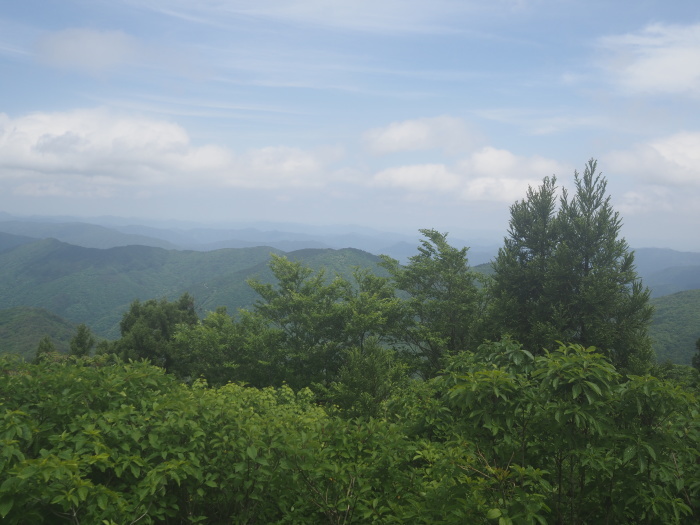 恐羅漢山ー旧羅漢山登山（夏焼尾根コース登りー立山コース下山）_c0116915_23562735.jpg