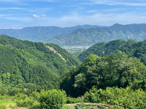 【22日目：和歌山→富田林 63Km】病院に行くも異状なし！標高600メートルは頑張った甲斐があった！　2022.5.27_b0002156_16215662.jpg