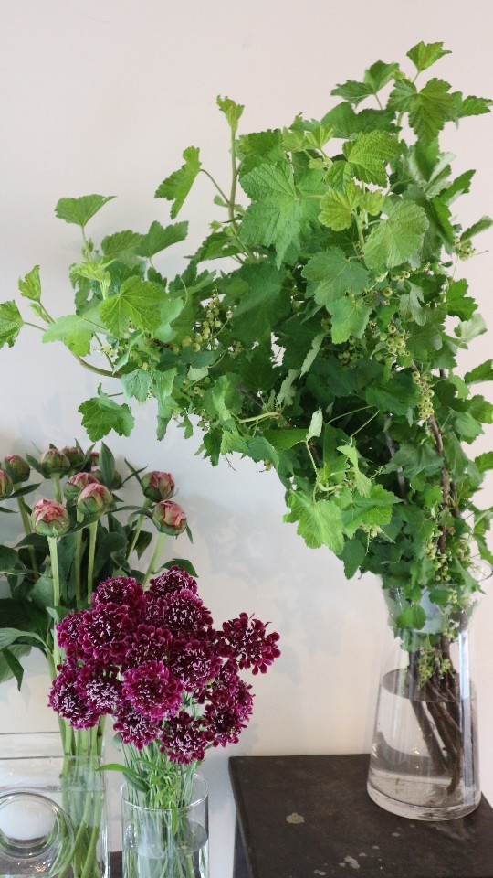 驚きの価格が実現 ラスト1 クリスチャントルチュ ディアボロ フラワーベース 花瓶 インテリア小物 12 870 Tracer Isi Ac Id