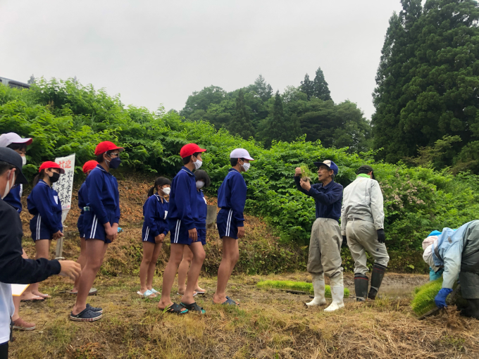 鯉の田んぼの田植え2022_d0182179_17251636.jpg