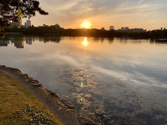 夕方、散歩。日が沈みます。_b0417181_22032861.jpg