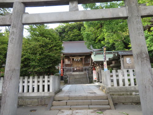 またまた金沢八景へ 鶴見分区園花壇クラブブログ