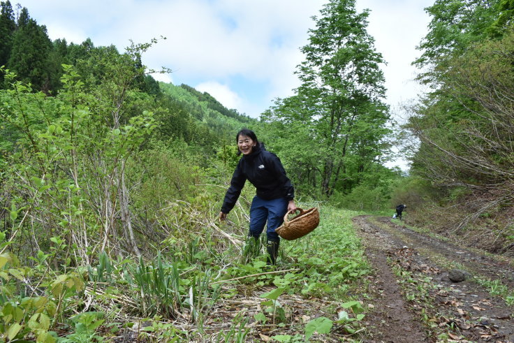 蓮池陽子さんの山菜ツアーで長野県栄村へ①_d0122797_17154329.jpg