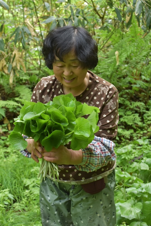 蓮池陽子さんの山菜ツアーで長野県栄村へ①_d0122797_17200650.jpg