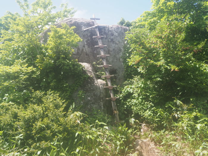 恐羅漢山ー旧羅漢山登山（夏焼尾根コース登りー立山コース下山）_c0116915_00184205.jpg