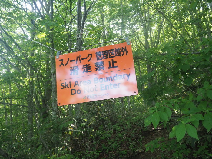 恐羅漢山ー旧羅漢山登山（夏焼尾根コース登りー立山コース下山）_c0116915_00301382.jpg