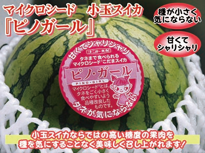 大人気！熊本産マイクロシード小玉スイカ『ピノガール』令和4年の再出荷日決定！予約販売の受付開始！_a0254656_17191603.png