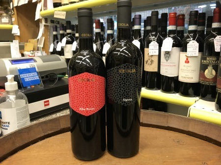 トスカーナ州の赤ワイン①Chianti, Chianti Classico, Montepulciano, Montalcino, Bolgheri ecc_a0136671_20425515.jpg