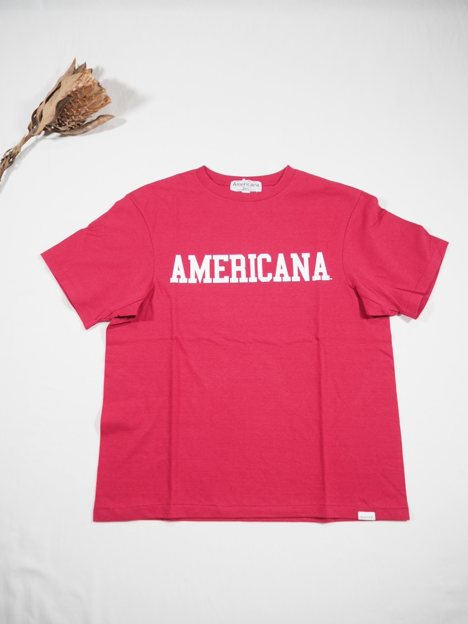 Americanaの定番Tシャツ_e0357389_21023148.jpg