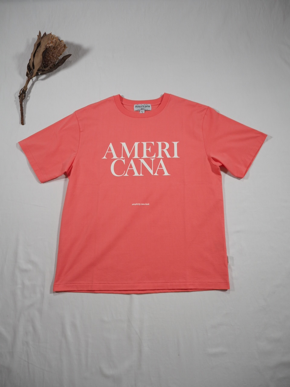 Americana 新素材Tシャツ_e0357389_21042428.jpg