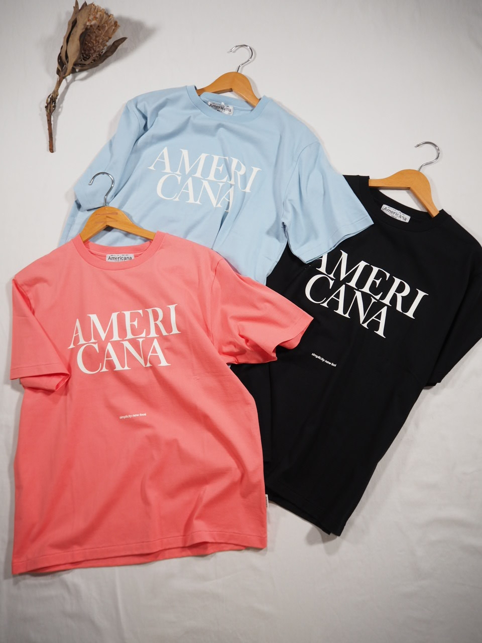 Americana 新素材Tシャツ_e0357389_21044689.jpg