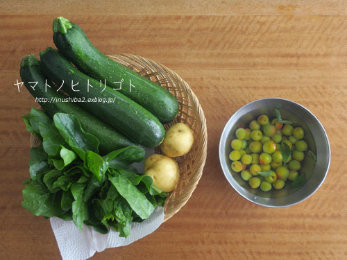 昼さんぽ (5/24)_e0394031_07164181.jpg