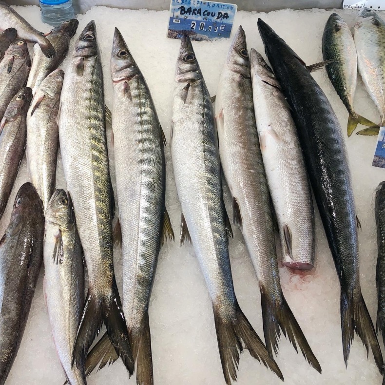 南仏サンラファエルの港の魚マーケットでバラクーダ発見_a0231632_14341795.jpeg