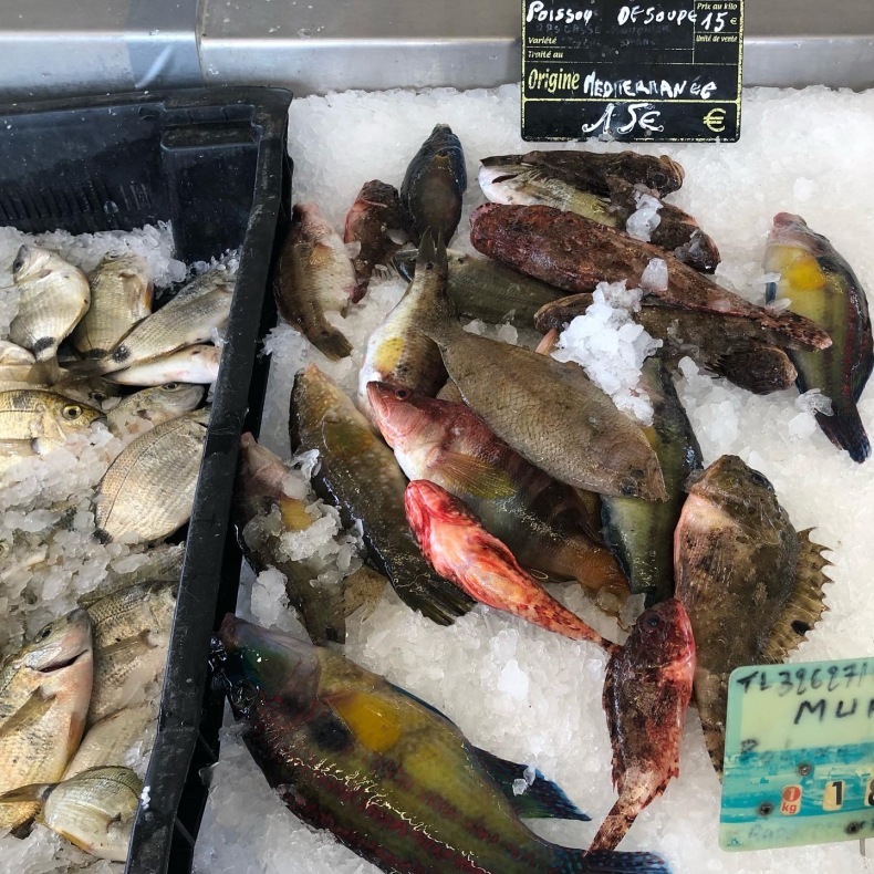 南仏サンラファエルの港の魚マーケットでバラクーダ発見_a0231632_14344970.jpeg