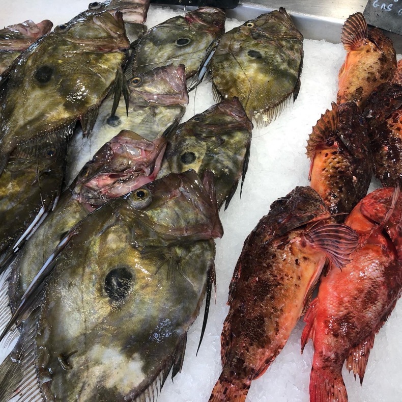 南仏サンラファエルの港の魚マーケットでバラクーダ発見_a0231632_14351335.jpeg
