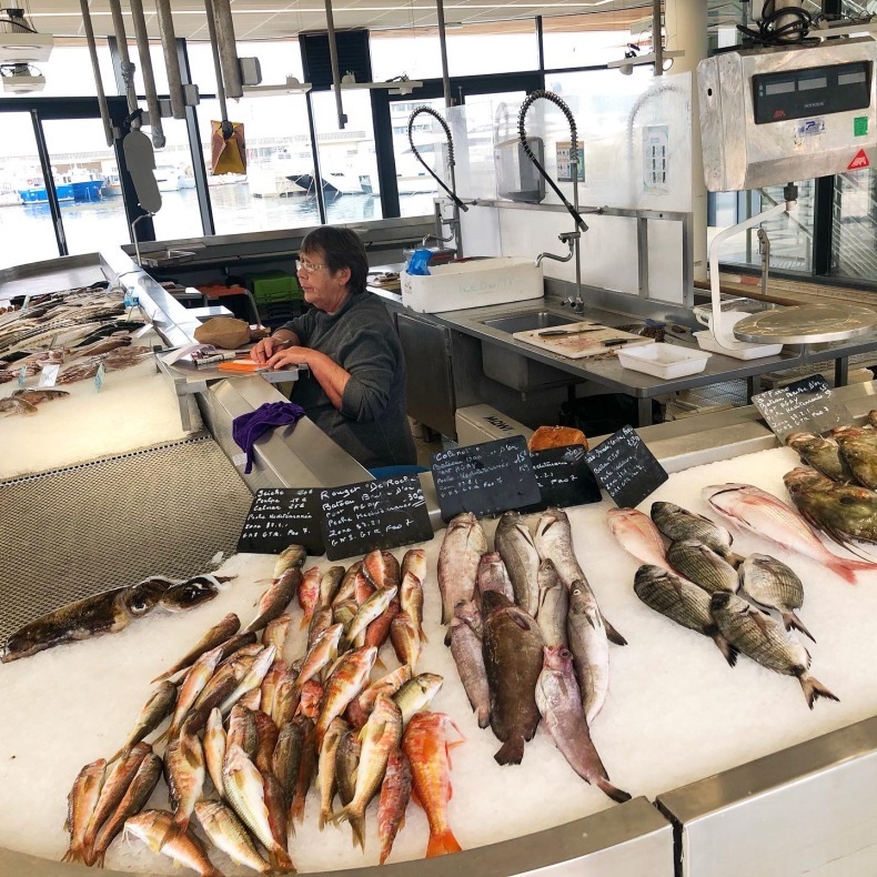 南仏サンラファエルの港の魚マーケットでバラクーダ発見_a0231632_14353734.jpeg