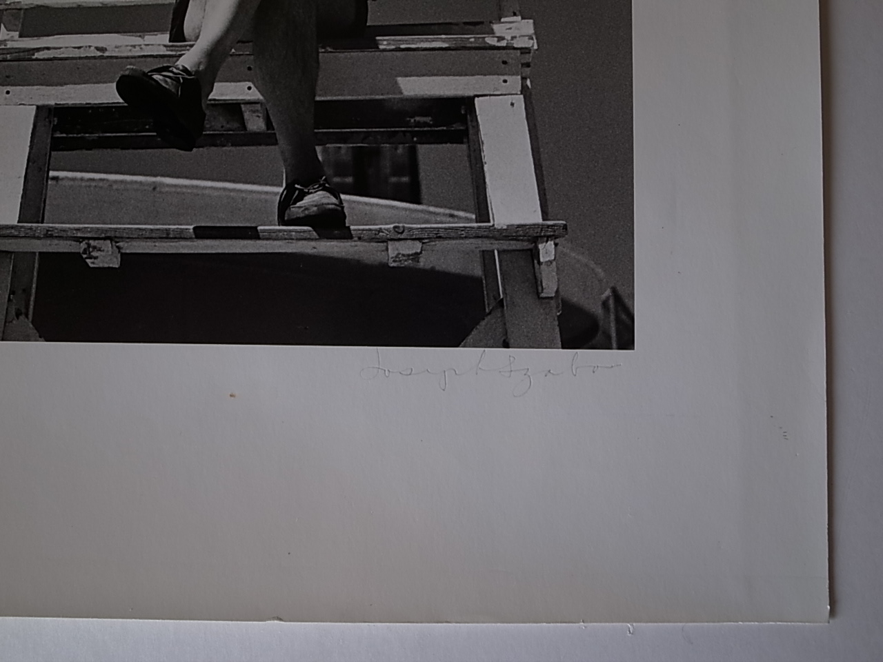 Almost Grown JOSEPH SZABO ジョセフ サボ　ダイナソーズ ALMOST GROWN / Joseph Szabo : Books & Things