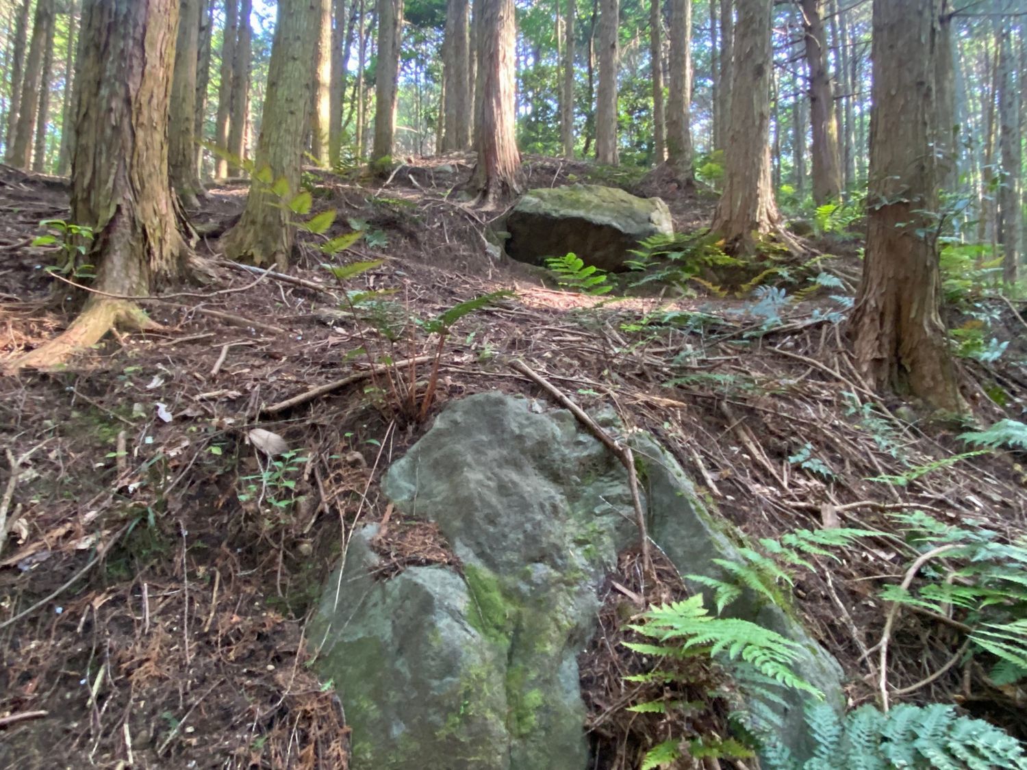 『龍王山古墳群』奈良県史跡名勝天然記念物調査報告第68冊 死者の谷・・龍王山古墳群 : 奈良・桜井の歴史と社会