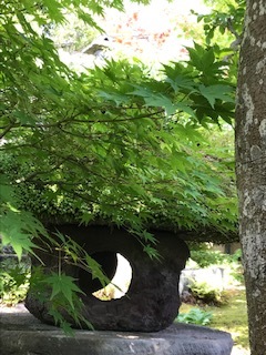 庭園特別公開 延長いたします_f0101949_16241710.jpg