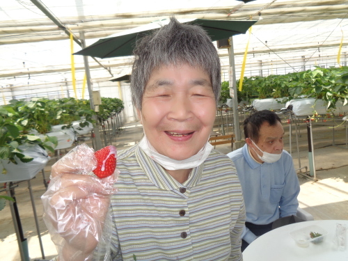 いちご狩り_c0350752_16244607.jpg