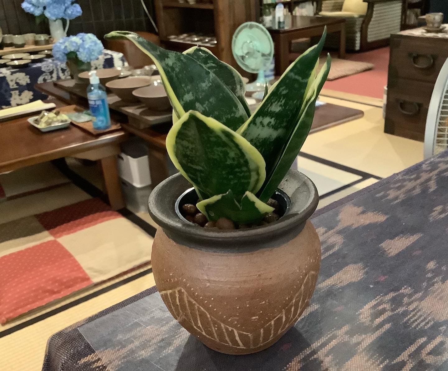 コキュ展〜4 (記録)_d0336460_00533625.jpeg