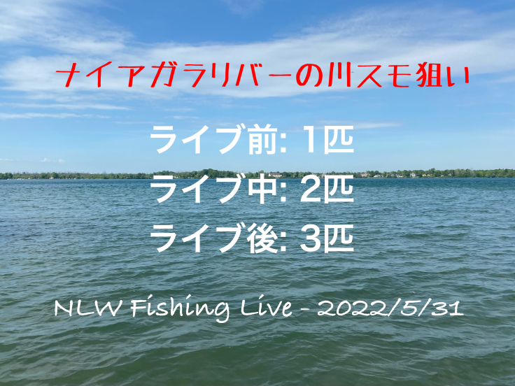 NLW Fishing Live - 2022/5/31 - アッパーナイアガラリバー_d0145899_08183901.jpeg