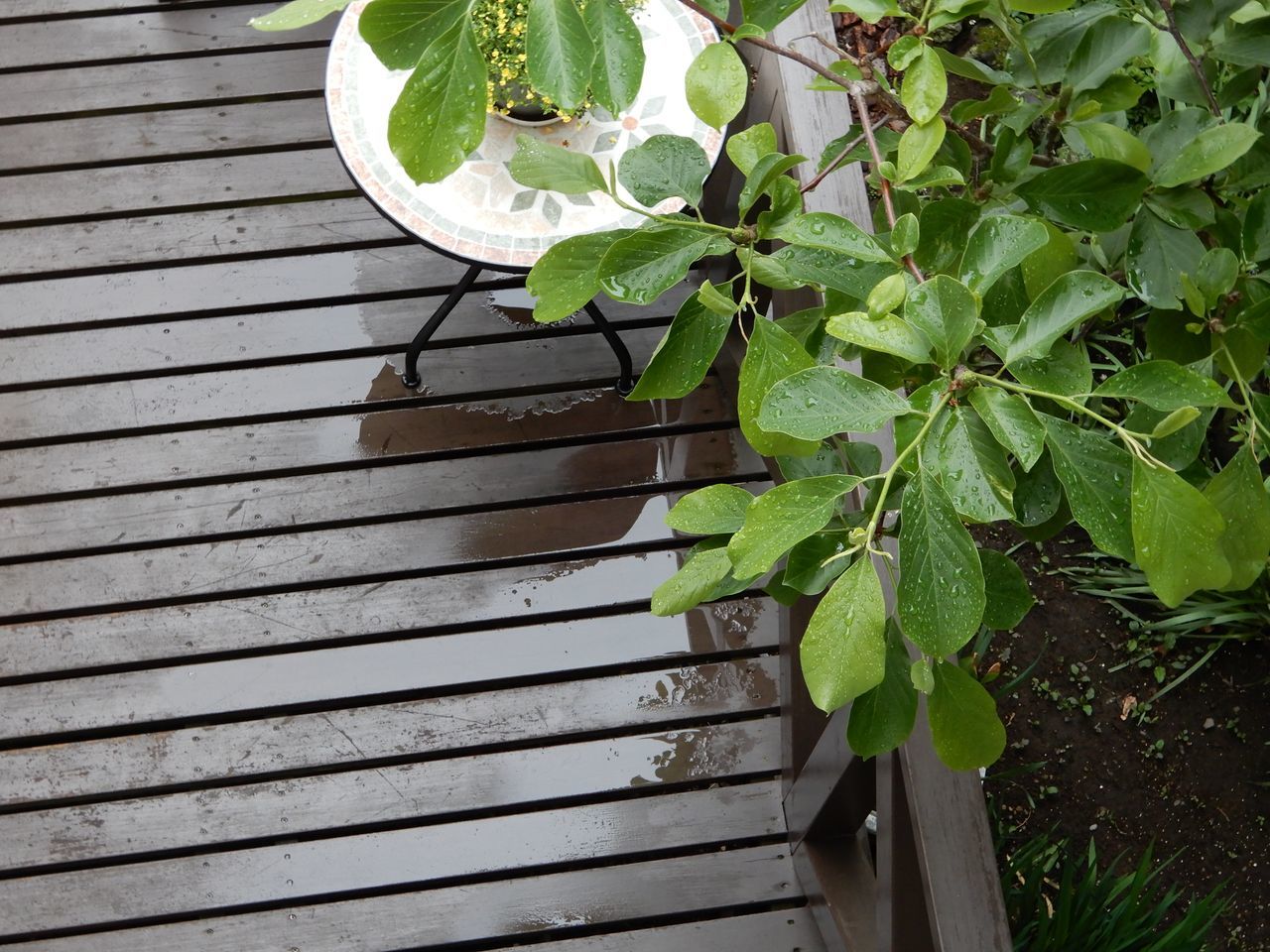 午後から日差しは戻ったものの気温は戻らず_c0025115_22293481.jpg